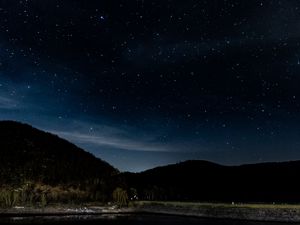 Preview wallpaper starry sky, stars, trees, night, eifel national park, germany