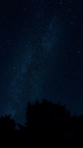 Preview wallpaper starry sky, stars, trees, night, night landscape