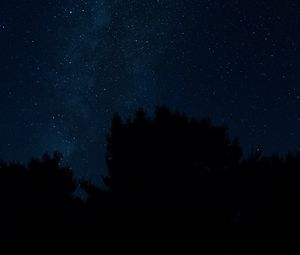 Preview wallpaper starry sky, stars, trees, night, night landscape