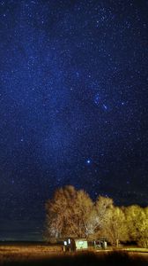 Preview wallpaper starry sky, stars, trees, night, dark