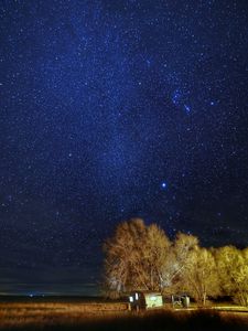 Preview wallpaper starry sky, stars, trees, night, dark