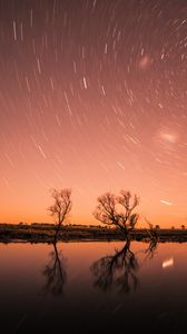 Preview wallpaper starry sky, stars, trees, shine, night, sky