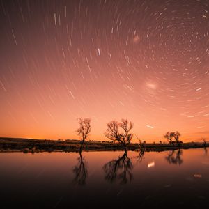 Preview wallpaper starry sky, stars, trees, shine, night, sky