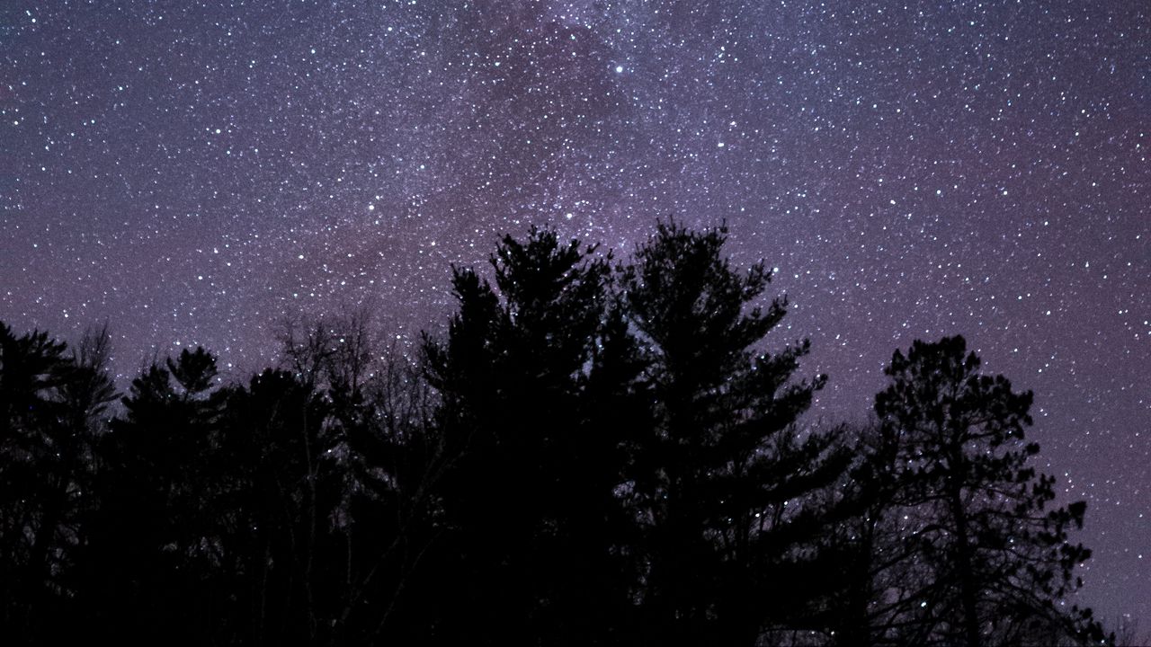 Wallpaper starry sky, stars, trees, silhouette