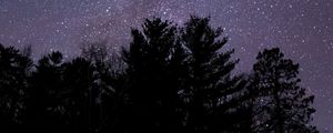 Preview wallpaper starry sky, stars, trees, silhouette