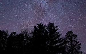 Preview wallpaper starry sky, stars, trees, silhouette
