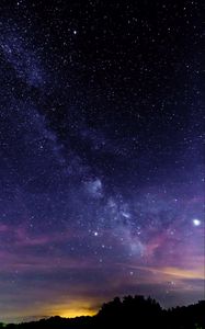 Preview wallpaper starry sky, stars, trees, silhouette, nebula