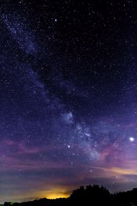 Preview wallpaper starry sky, stars, trees, silhouette, nebula