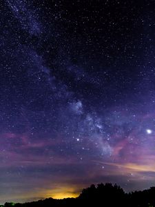 Preview wallpaper starry sky, stars, trees, silhouette, nebula