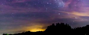 Preview wallpaper starry sky, stars, trees, silhouette, nebula
