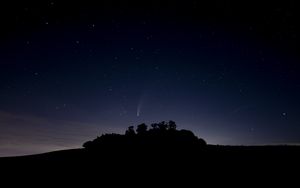 Preview wallpaper starry sky, stars, trees, silhouette, night