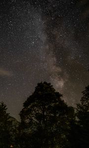 Preview wallpaper starry sky, stars, trees, mountains, night, nature