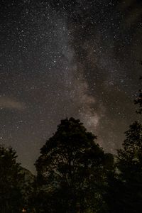 Preview wallpaper starry sky, stars, trees, mountains, night, nature