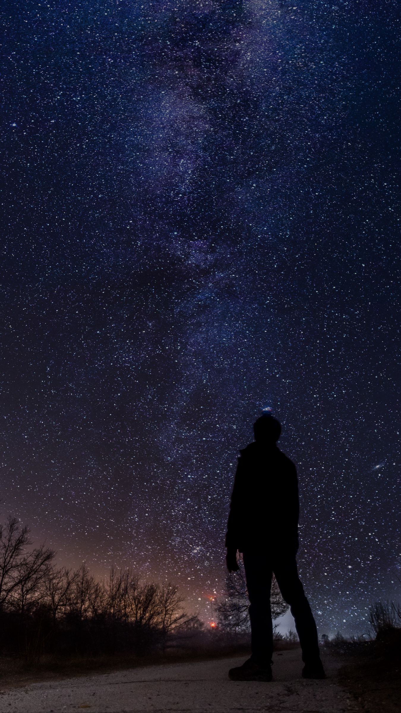 Download wallpaper 1350x2400 starry sky, milky way, silhouette, night ...