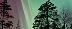 Preview wallpaper starry sky, the trees, northern lights