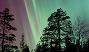 Preview wallpaper starry sky, the trees, northern lights