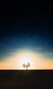 Preview wallpaper starry sky, tree, alone, sunset
