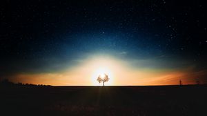 Preview wallpaper starry sky, tree, alone, sunset