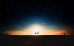 Preview wallpaper starry sky, tree, alone, sunset