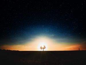 Preview wallpaper starry sky, tree, alone, sunset