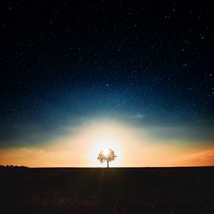 Preview wallpaper starry sky, tree, alone, sunset