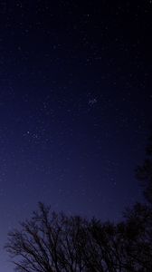 Preview wallpaper starry sky, tree, branches, silhouette, dark