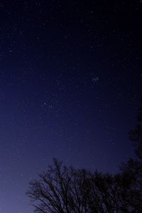 Preview wallpaper starry sky, tree, branches, silhouette, dark