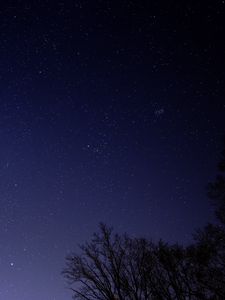 Preview wallpaper starry sky, tree, branches, silhouette, dark