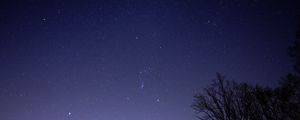 Preview wallpaper starry sky, tree, branches, silhouette, dark