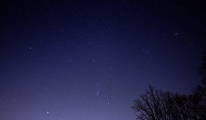 Preview wallpaper starry sky, tree, branches, silhouette, dark