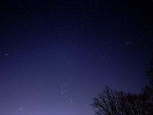 Preview wallpaper starry sky, tree, branches, silhouette, dark