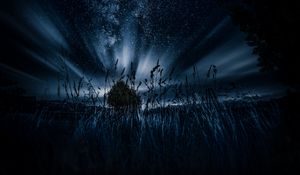 Preview wallpaper starry sky, tree, grass, night