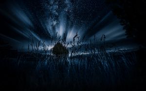 Preview wallpaper starry sky, tree, grass, night