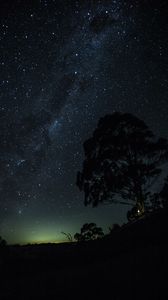Preview wallpaper starry sky, tree, hill, horizon, night