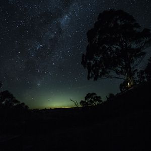 Preview wallpaper starry sky, tree, hill, horizon, night