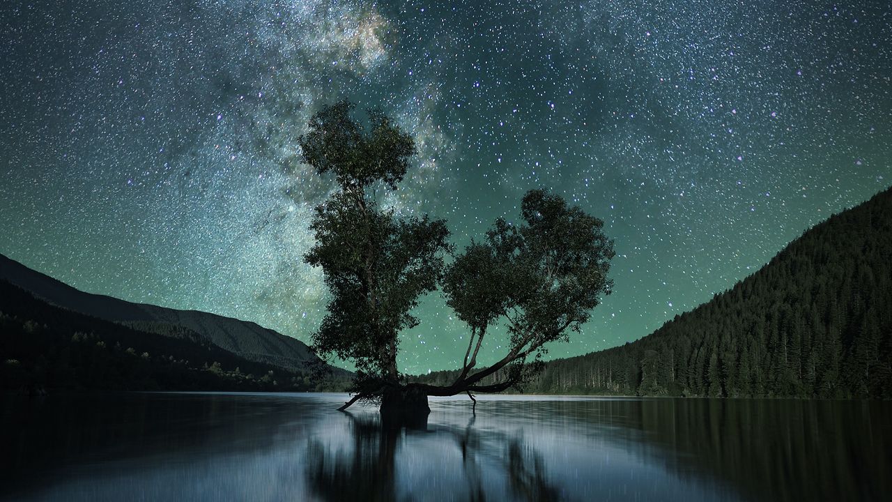 Wallpaper starry sky, tree, lake, night