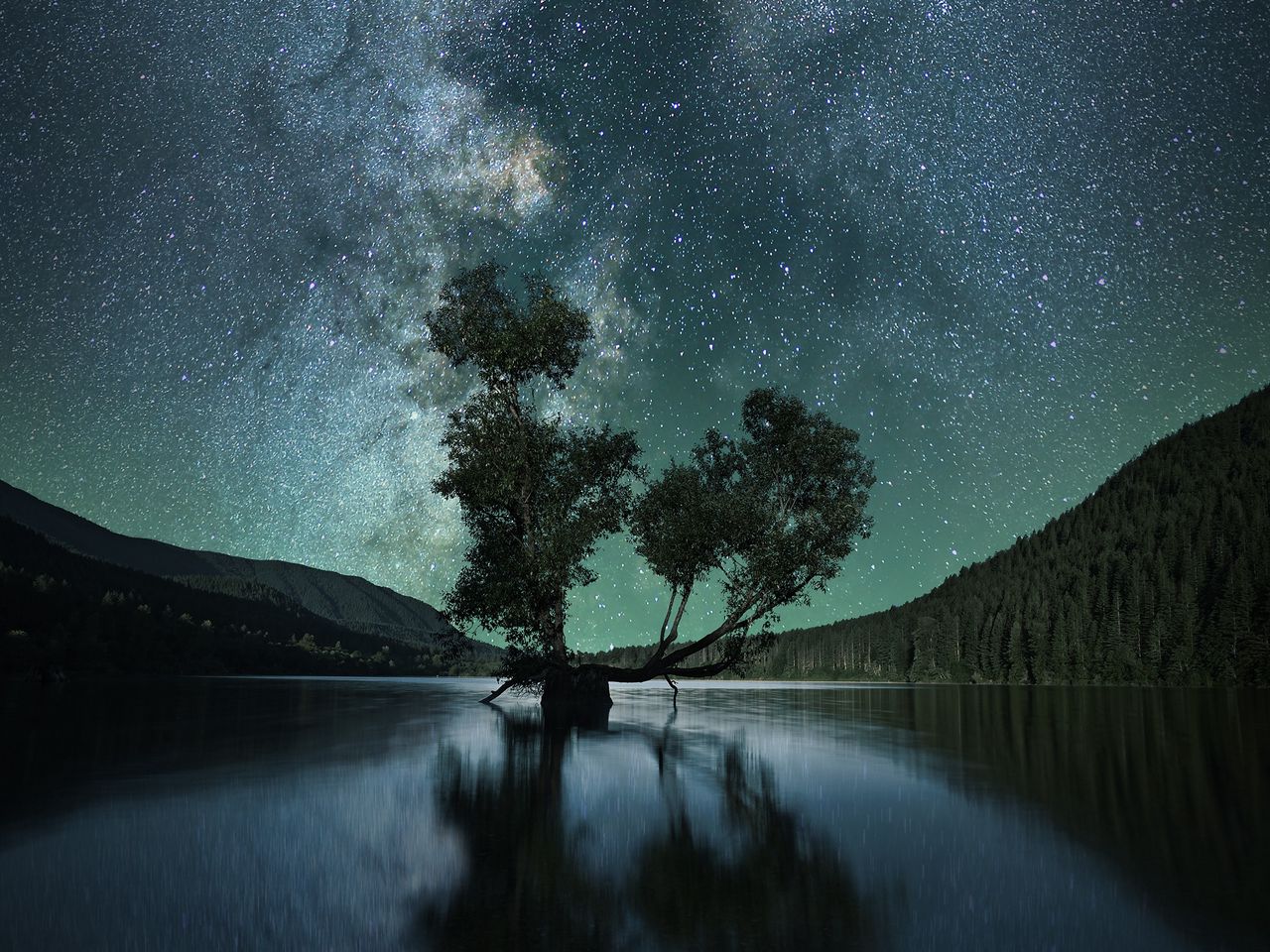 Download wallpaper 1280x960 starry sky, tree, lake, night standard 4:3