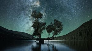 Preview wallpaper starry sky, tree, lake, night