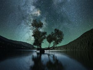 Preview wallpaper starry sky, tree, lake, night