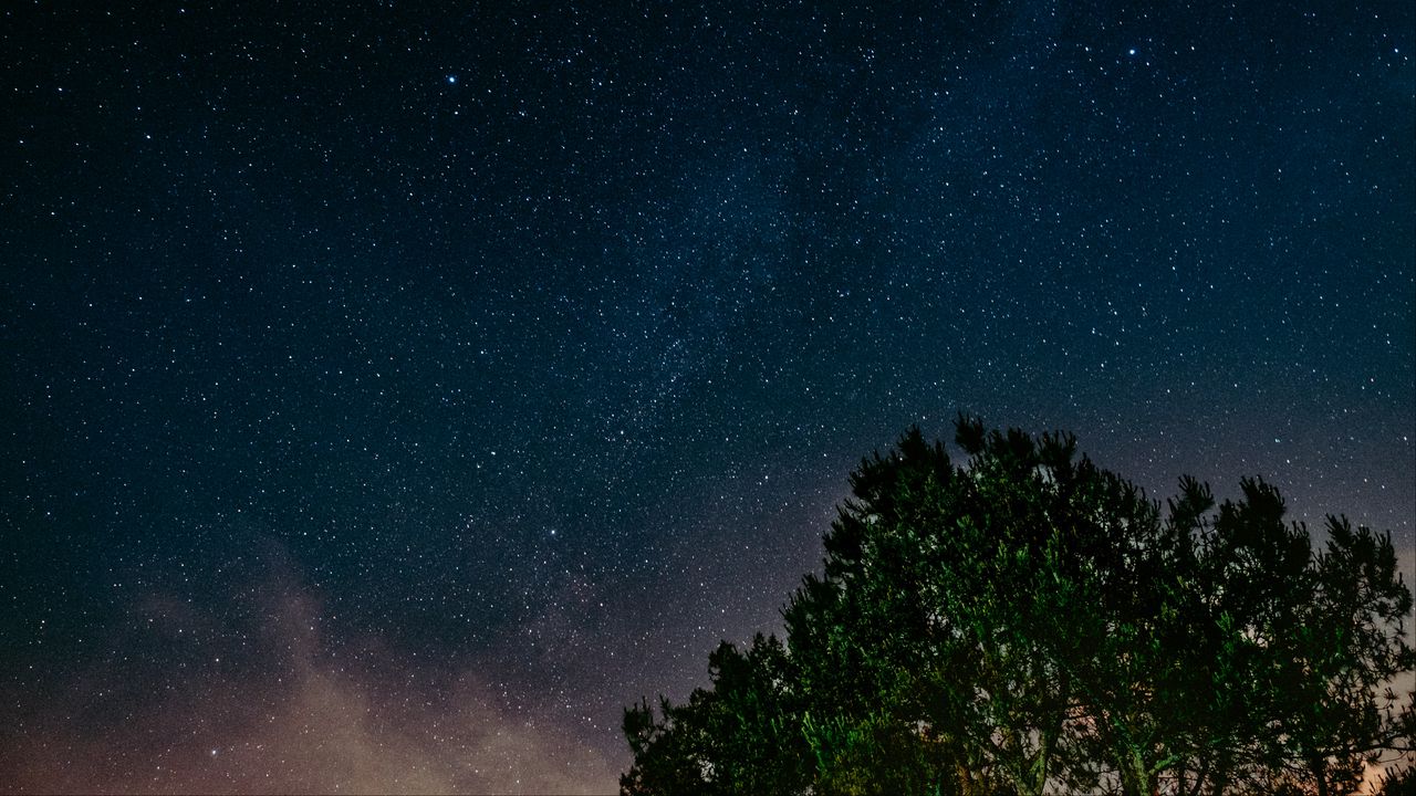 Wallpaper starry sky, tree, night