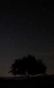 Preview wallpaper starry sky, tree, night, sky