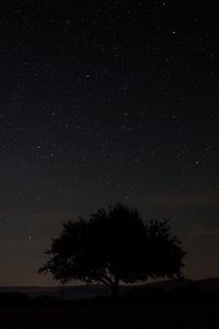 Preview wallpaper starry sky, tree, night, sky