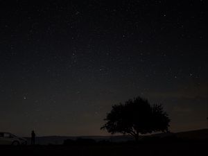 Preview wallpaper starry sky, tree, night, sky