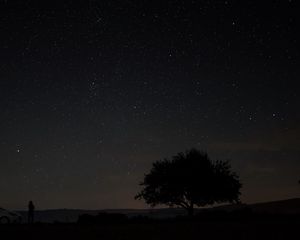 Preview wallpaper starry sky, tree, night, sky