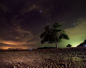Preview wallpaper starry sky, tree, sand, night, koh lanta, thailand