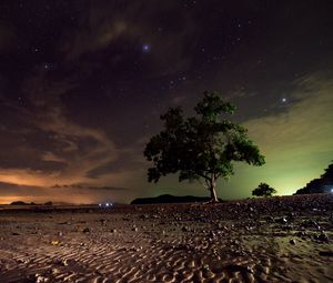 Preview wallpaper starry sky, tree, sand, night, koh lanta, thailand
