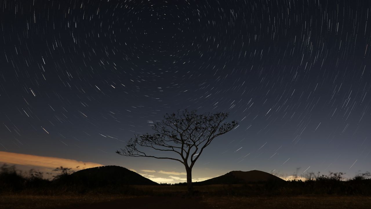 Wallpaper starry sky, tree, sky, night