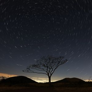 Preview wallpaper starry sky, tree, sky, night