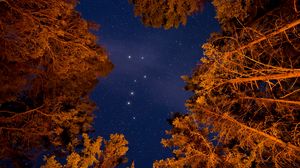Preview wallpaper starry sky, trees, bottom view, stars, sky, night