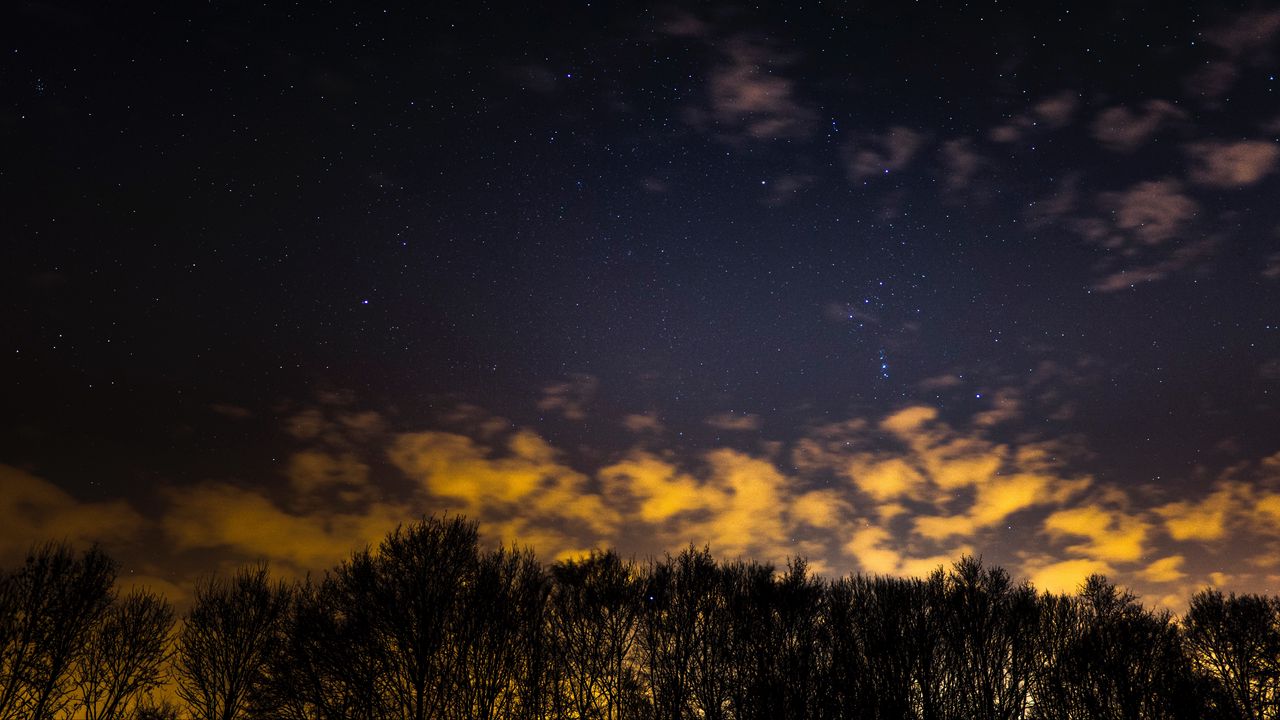 Wallpaper starry sky, trees, clouds, night